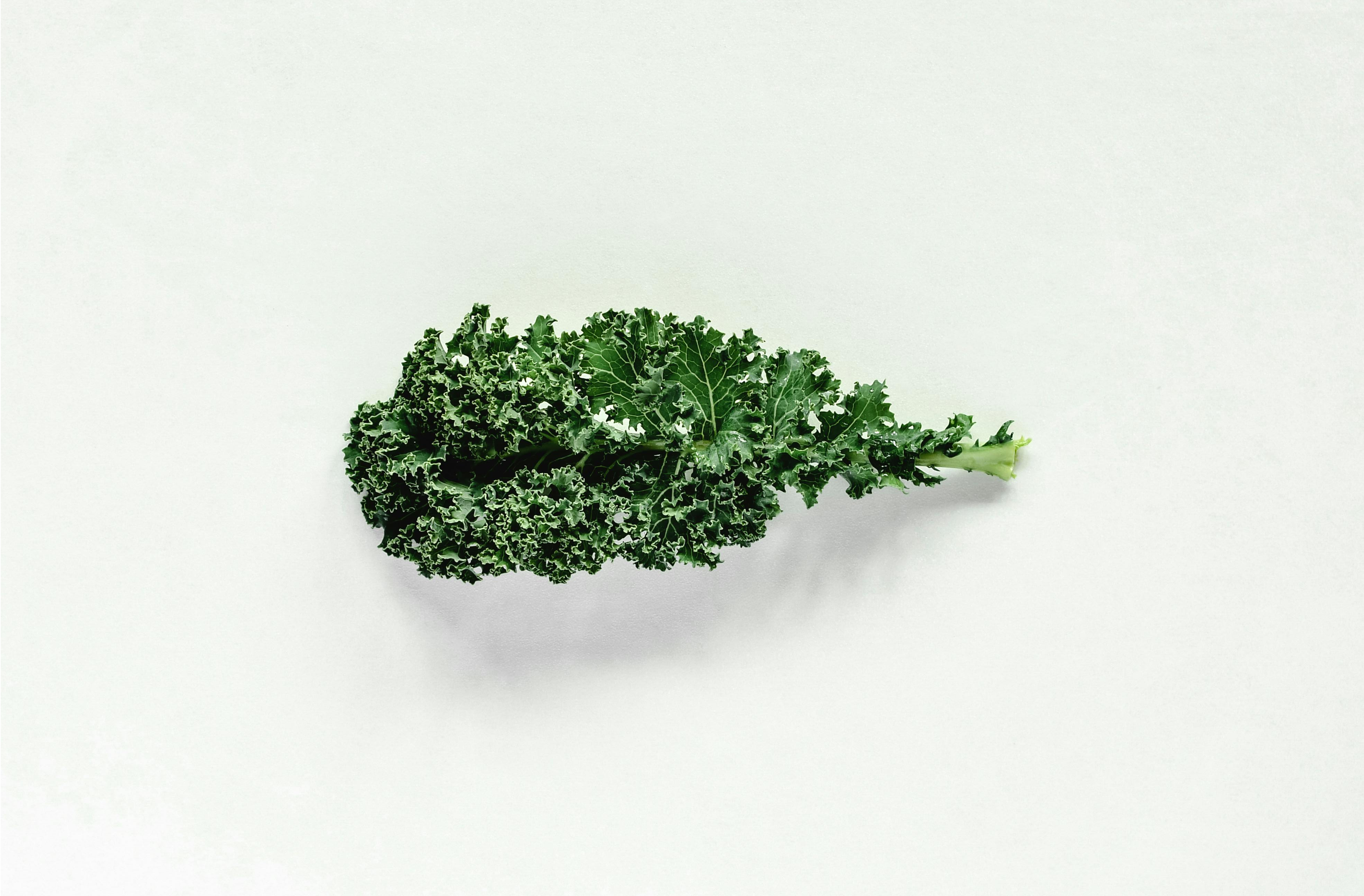 Nature's Skincare Solutions: A Guide to Naturally Reducing Acne & Breakouts