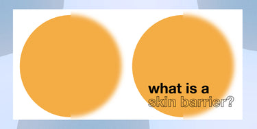 What is a skin barrier?