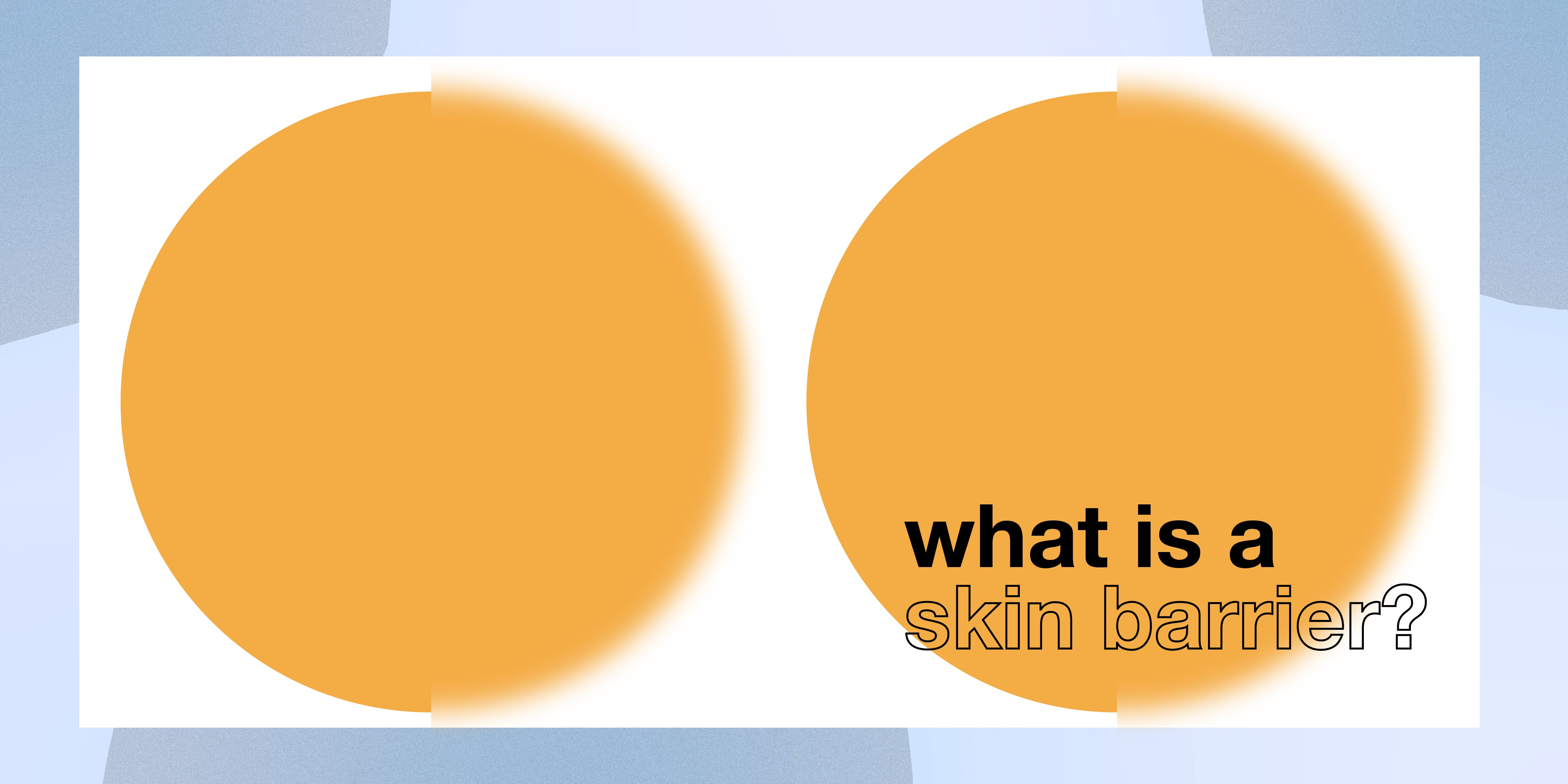 What is a skin barrier?